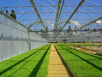 Serre BAIXINXIN |   Structure de cadre de serre |   Grandes serres en plastique multi-voûtes, usage professionnel, anti-goutte, pour jardin