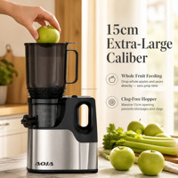 Whisper Quiet Slow Juicer 15cm Volledige Fruitopening DC Motor Onder 80dB RVS Gaas Makkelijk Reinigbaar Koudpers Sapcentrifuge