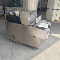 Automatische commerciële machine voor het ponsen en doorprikken van groenten en fruit, motor voor de verwerking van gedroogd fruit, lijn voor de verwerking van gekonfijt fruit