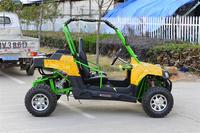 2025 Produits Chauds 300cc Utv Joyner Buggies