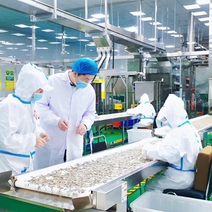 بذور عباد الشمس العضوية عالية الجودة منزوعة القشرة ذات اللون الطبيعي تستخدم كمكون غذائي في المخابز ومنتجات الأغذية الصحية. - Product Image 5