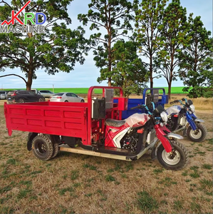 Triciclo <span class=keywords><strong>de</strong></span> Alta Calidad <span class=keywords><strong>de</strong></span> 150cc a Gasolina, Transportador <span class=keywords><strong>de</strong></span> Pasajeros y Carga, Diseñado para Transporte Urbano y Rural - Product Image 6