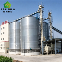 Système complet de stockage de céréales en silo en acier à fond plat clé en main pour ligne de traitement agricole à grande échelle