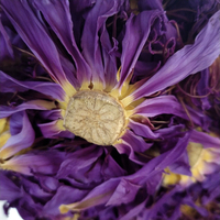 Harga Grosir Murah Bunga Lotus Biru Kering Baru Nuciferine flos untuk Dijual