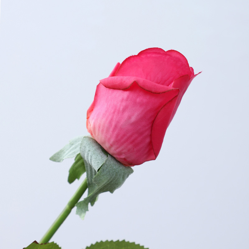 Rose Madder
