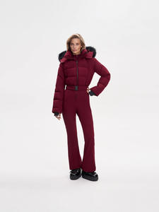 Combinaison de <span class=keywords><strong>ski</strong></span> décontractée d'hiver à capuche de style coréen, très vendue en 2026, 100% polyester, rose européen américain, fermeture éclair pour femmes - Product Image 4