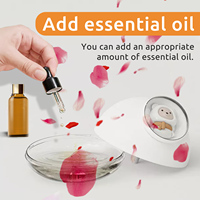 Portable LED Lumière Mini 300ml H2o Spray Brume Humidificateur Double Humide Arôme Huile Essentielle Diffuseur Voiture Usb air Humidificateur