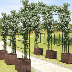 <span class=keywords><strong>Kit</strong></span> de pergola de jardin facile à assembler avec panneaux de treillis de soutien pour <span class=keywords><strong>plantes</strong></span> pour fleurs <span class=keywords><strong>grimpantes</strong></span> et jardinage vertical - Product Image 4