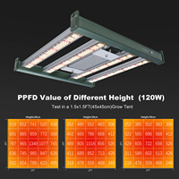 Luz LED de alto brillo 3030 de 100W para cultivo de plantas en interiores, regulable, espectro completo UV IR, luz LED de cultivo de plantas de 100W