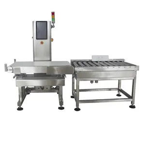 conveyor Check Weigher 50kg electronic weighing scale for cement bag