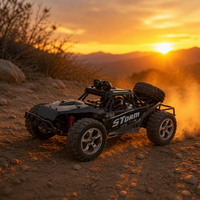 Voiture télécommandée RC Buggy tout-terrain 2.4G avec système de suspension, modèle à l'échelle 1:16, pour intérieur/extérieur STORM BG1513