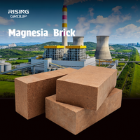 Briques de magnésite fusionnée à faible porosité, briques réfractaires anti-corrosion en magnésite, briques de magnésie pour revêtement de cuve