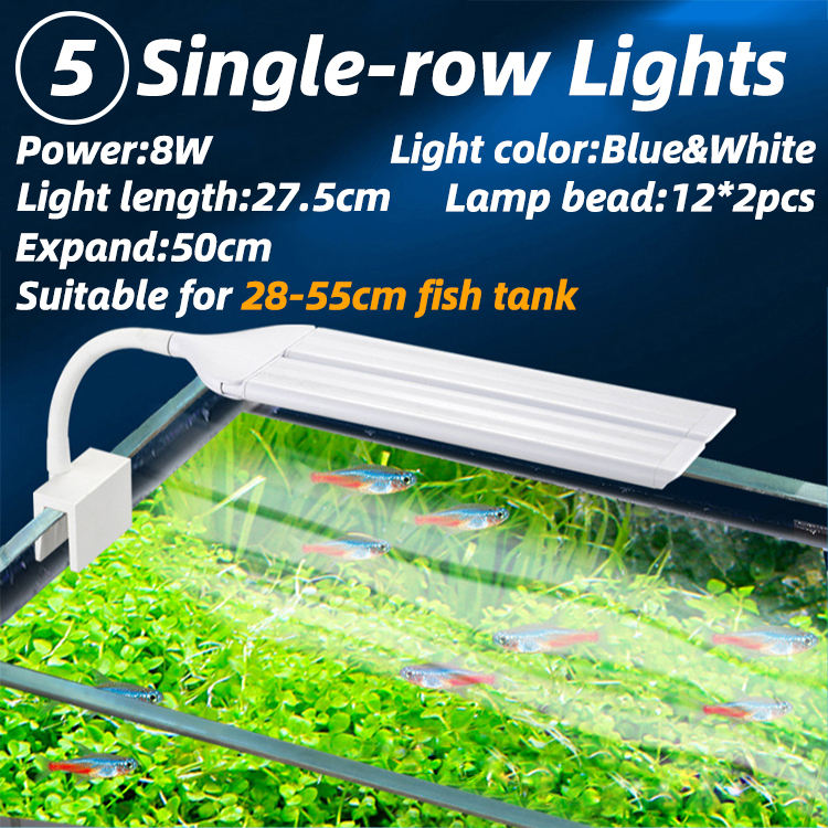 8W-Lumières bleues et blanches à une rangée