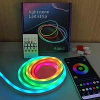 5V USB 10M ROLL Neon Lights RGBICW pour bricolage personnalisé Neon Strip Lights Chambre et mur IP67 Music Sync APP Control Led Rope Lights
