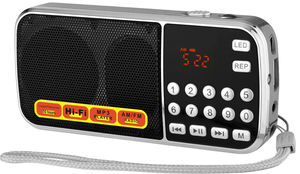 LCJ L-088AM Portable Mini AM/FM Radio 600mAh MP3 Player USB/TF Support Built-in Speaker For Gurbani/Punjabi - Product Image 2