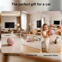 Nouveau design Chat Jouet Balle Silicone Rolling Track Ball Rechargeable Automatique Chat Teaser Déesse Jouer et Courir Pet Smart Toy