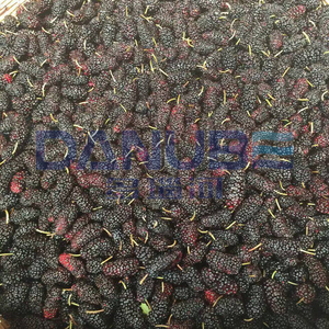 Temperature Adjustable Mulberry Dryer Mulberry Heat <b>Pump</b> Drying Oven Room Mulberry Dehydrator Equipment - Product Image 4