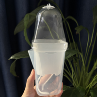 Pot de jardinage en plastique transparent en gros avec dôme d'humidification pour semis, légumes, succulentes et boutures