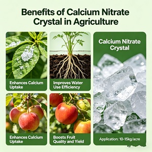 Fertilizante de Calcio Agrícola 100% Soluble en Agua, Nitrato de Calcio en Cristales, <span class=keywords><strong>N</strong></span> 15.5% Ca 16%, Liberació<span class=keywords><strong>n</strong></span> Rápida para Riego por Goteo - Product Image 5