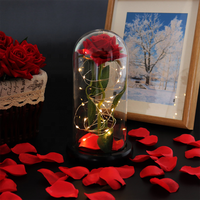 Cadeau de Saint Valentin Morthers Day Gift Galaxy Rose dans un dôme en verre avec lumières led Vente en gros Préservé Rose dans un dôme en verre