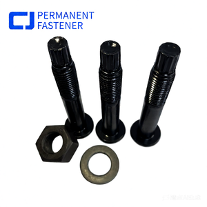 Hoge sterkte Tc bout M20 gelegeerd staal ronde kop graad 10.9 torsie-shear met zwarte oxide afwerking en ringen/moeren voor de bouw - Product Image 6