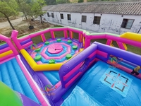 Meilleure Vente Prix Usine Populaire Château Gonflable Commercial en PVC avec Grand Toboggan et Combo Rebondisseur à Thème Dessin Animé pour Fêtes d'Enfants CE