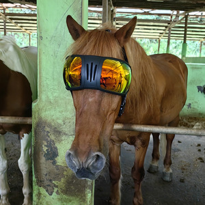 Con ngựa lớn Kính UV bảo vệ Lạc Đà Kính hổ lừa bò Pet Kính mát Windproof cát - Product Image 5