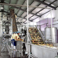 Automatische hoogwaardige industriële guavensapmachine guava verwerkingsmachine