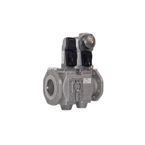 Double solénoïde à gaz IP54 AC 220-240V, coupure de sécurité, régulation pleine gamme, plastique, 1 an - Product Image 1