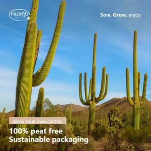 All'ingrosso coltiva il tuo grazioso Mini <span class=keywords><strong>Cactus</strong></span> verde fioriere in ceramica bianca piccole <span class=keywords><strong>piante</strong></span> in vaso succulente - Product Image 4