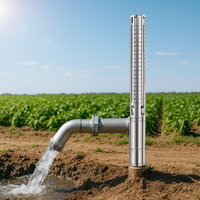 Pompes immergées pour puits profonds en acier inoxydable 1,5 CV, monophasées, pour l'irrigation et l'alimentation en eau