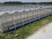Panneaux de serre en polycarbonate de haute qualité-protégés contre les UV, résistants aux intempéries, transparents, durables pour l'agriculture et l'utilisation commerciale