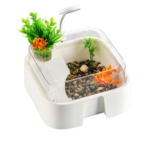 Bocal d'aquarium brésilien de haute qualité pour tortues, avec fermeture à bouton-pression, conception anti-évasion pour tortues de petite taille, idéal pour l'aménagement paysager de bureau à domicile - Product Image 3