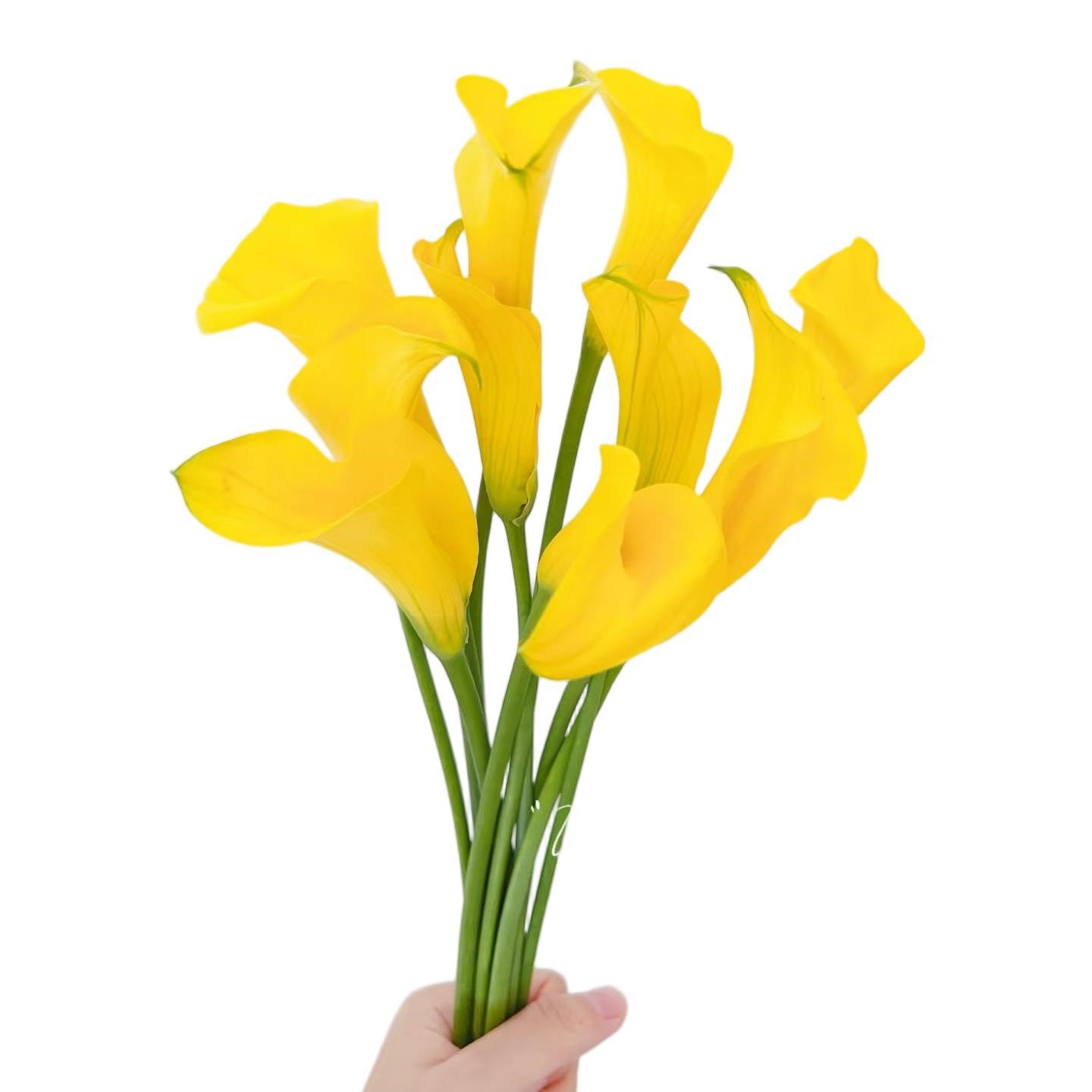 Calla yellow-1 tie 10 branches