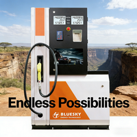 Distributeur de Diesel Haute Précision (0,30 % d'accuracy) pour Station-Service à Madagascar avec Compteur Numérique et Débit de (5~55) L/min