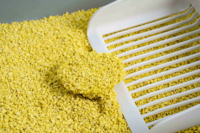 Litière pour chat au millet – Extrait Premium Biodégradable, Contrôle des odeurs, Absorption rapide, À base de plantes, Vente directe usine OEM