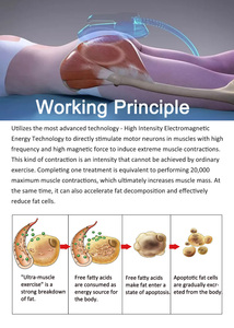 Body Sculpting Slimming <b>Machine</b> Muscle Building Fat Burning Butt Lifting <b>Massage</b> Device for Home Gym Salon Body Shaping - Product Image 4