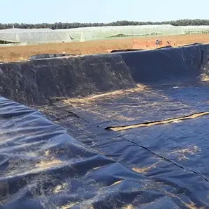 Revêtement d'étang en HDPE, doublure de barrage, géomembrane hdpe