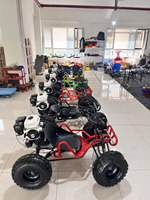 Kart tout-terrain à chaîne 2 temps pour adultes, alimenté à l'essence, moteur 90cc/110/212cc, capacité de charge de 200 kg