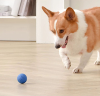 Bestseller - Ballon roulant pour chiens et chats, nouvelle version améliorée, en TPR, jouet à mâcher pour soulager l'ennui