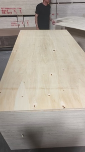 Proveedor Chino <span class=keywords><strong>de</strong></span> <span class=keywords><strong>Madera</strong></span> Contrachapada <span class=keywords><strong>de</strong></span> Álamo <span class=keywords><strong>de</strong></span> 1220x2440mm y 18mm, Ecológica, Impermeable por Ambos Lados, para Sala <span class=keywords><strong>de</strong></span> Estar - Product Image 3
