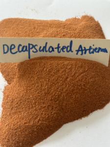 קטן דגי מזון באיכות גבוהה מעטפת משלוח ביצי ארטמיה מפעל מחיר - Product Image 5