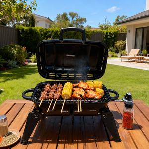 Modern Portable <strong>Small</strong> Camping <strong>Gas</strong> Stoves Barbecue Grill Outdoor Propane <strong>BBQ</strong> with Powder Coated Steel Frame - Product Image 1