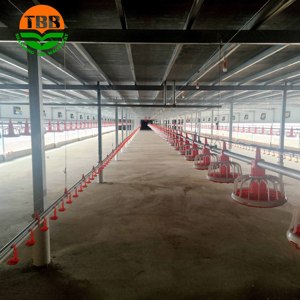 Equipo Moderno de Avicultura Totalmente Automático para la Cría de Pollos de Engorde, Gallinero/Casa de Pollos, Comederos Eficientes para Aves de Corral - Product Image 5