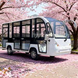 Autobús Turístico Eléctrico de Largo Alcance, 10 Asientos, Batería de Plomo-Ácido, Velocidad de 45-50 km/h, Autobús de Pasajeros de Nueva Energía, Buen Precio - Product Image 2