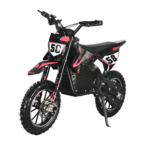 Mini moto électrique pour enfants MAXSPEED 800W 36V avec batterie au plomb 12Ah pour l'aventure en moto, disponible en versions 500W, 800W, 1000W avec moteur à balais - Product Image 1