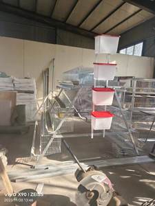 Automatische Kippengevogelte Eierlagen Kooi Heet Gegalvaniseerd Boerderij Ontwerp Een Type Kooi - Product Image 5