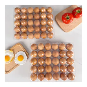 Fabricants de plateaux à œufs en plastique carton à œufs 30 trous cartons d'emballage plateaux à œufs en plastique