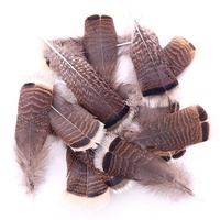 Plumas de pavo baratas al por mayor plumas de cola de pavo naturales de 15-20cm para decoración de manualidades