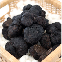 Truffe Noire Sauvage Chinoise Fraîche Naturelle